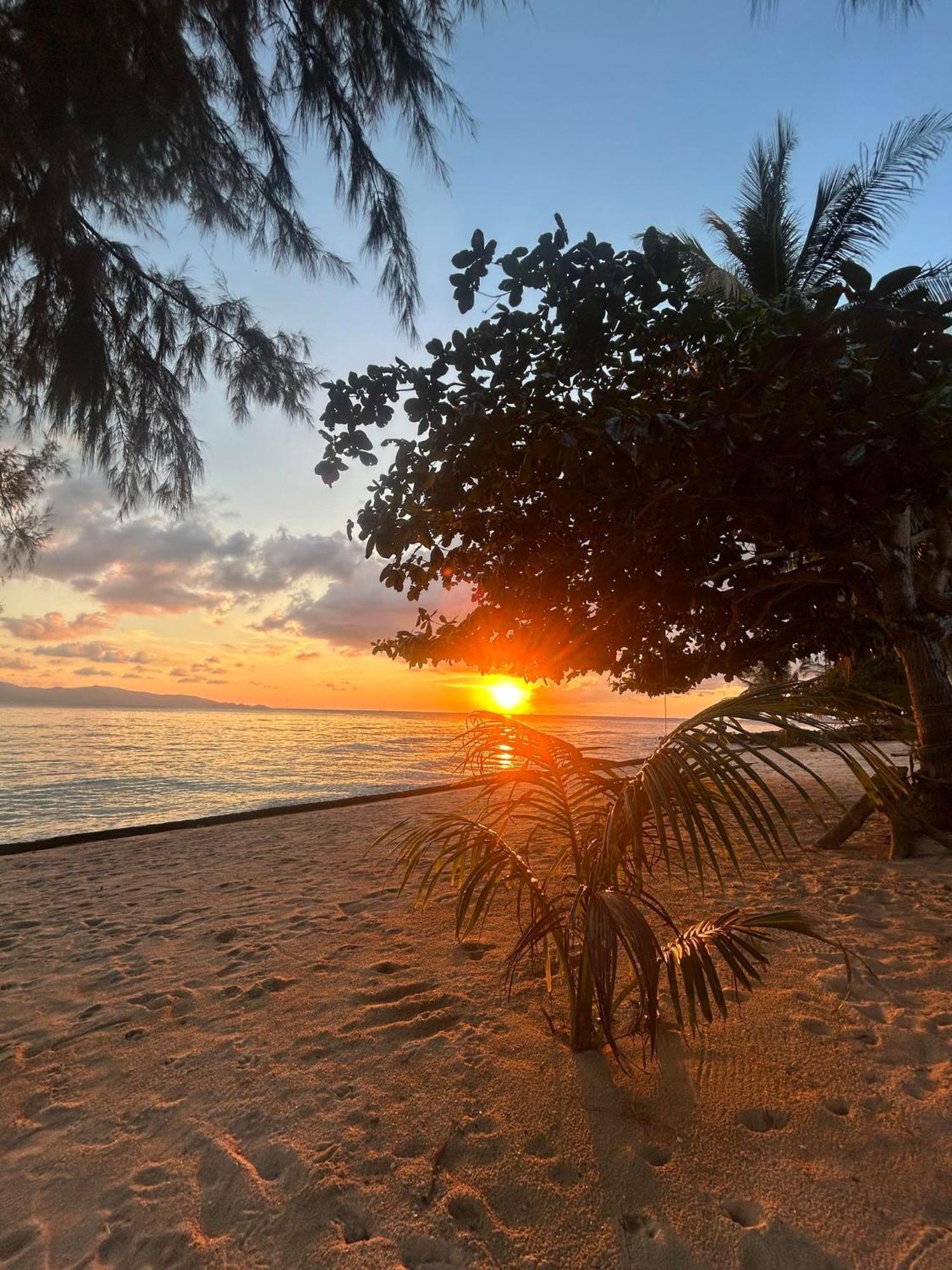 Hotel Pinks Bungalow Baan Tai Zewnętrze zdjęcie